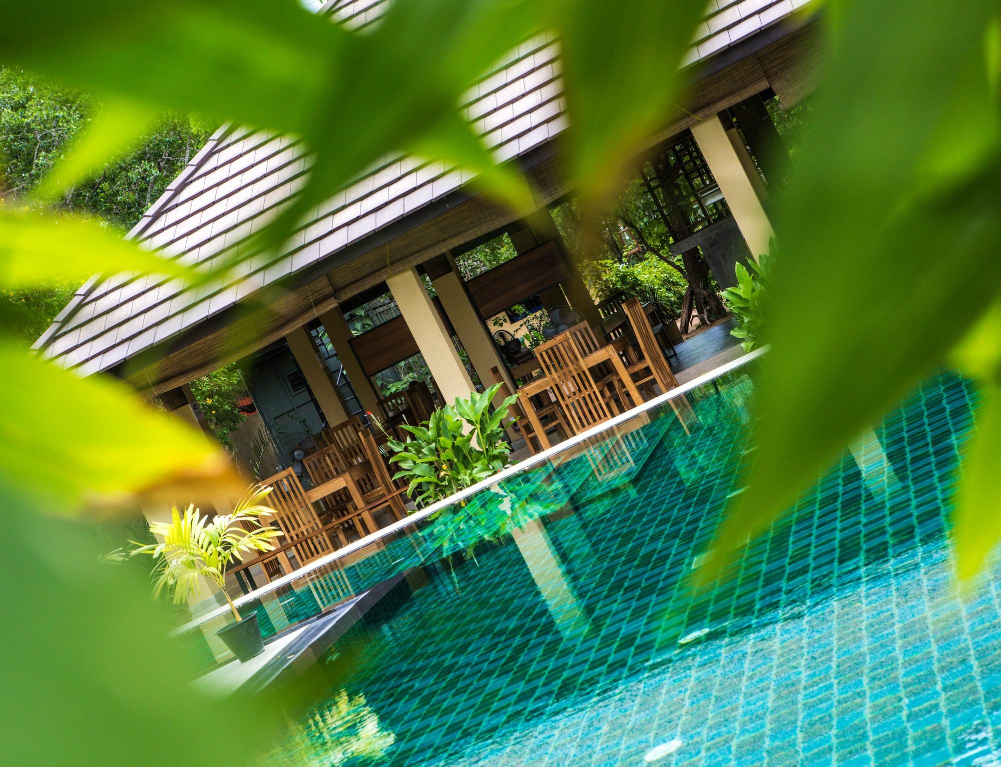 The Spice Trail Otel Arugam Bay Dış mekan fotoğraf